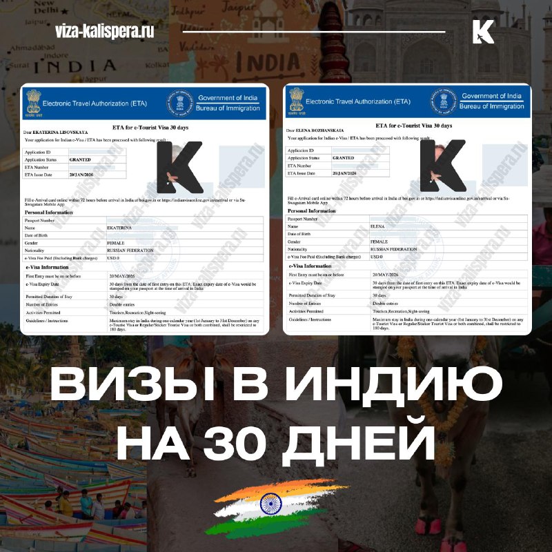 Бесплатная электронная виза в Индию с 2026 года: что изменилось