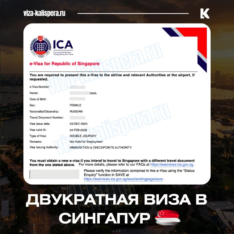 Электронная виза в Сингапур: как оформить и что учесть заранее
