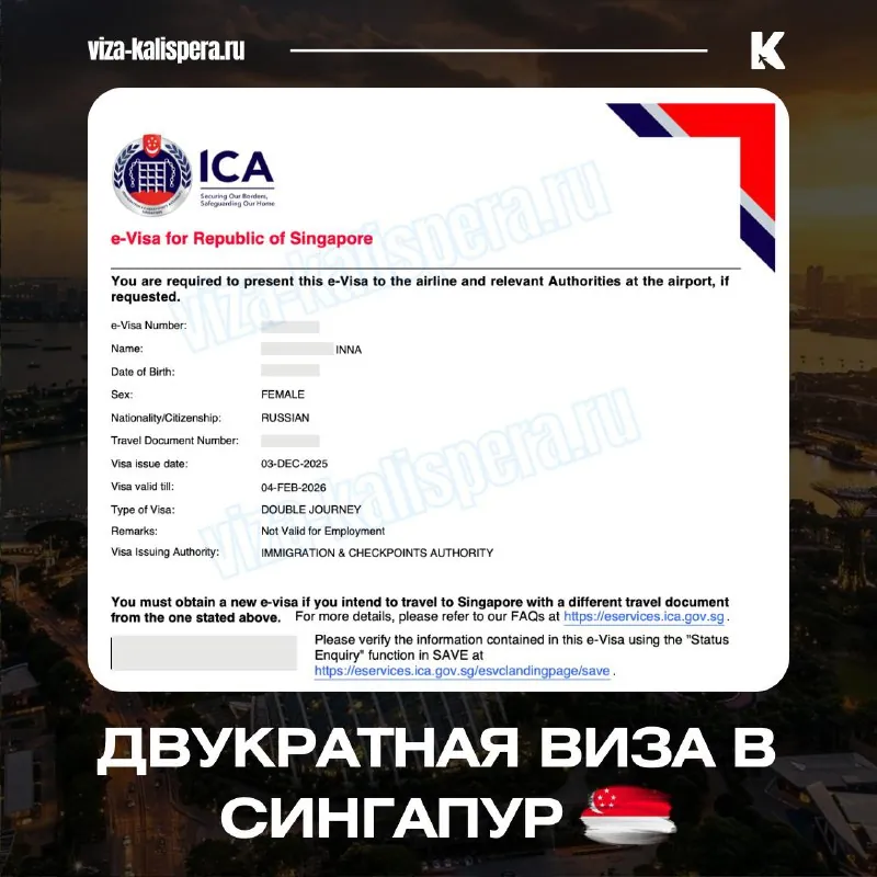 Электронная виза в Сингапур: как оформить и что учесть заранее