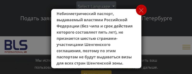 Испания перестала принимать пятилетние загранпаспорта в Петербурге