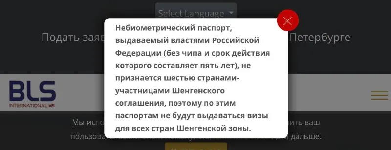 Испания перестала принимать пятилетние загранпаспорта в Петербурге