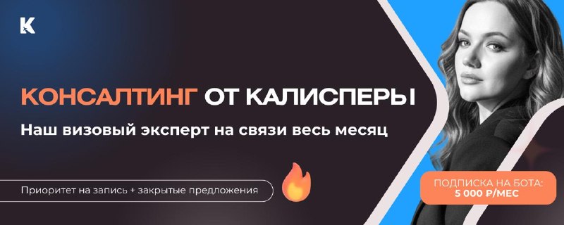 Консультации визового эксперта для турагентств: как это работает