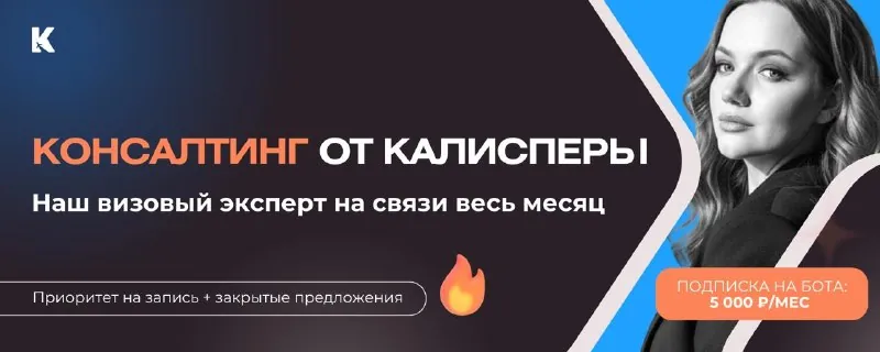 Консультации визового эксперта для турагентств: как это работает