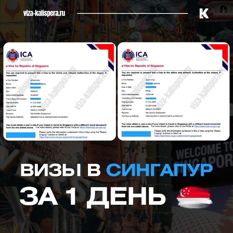 Срочная виза в Сингапур за 1 день: как это работает