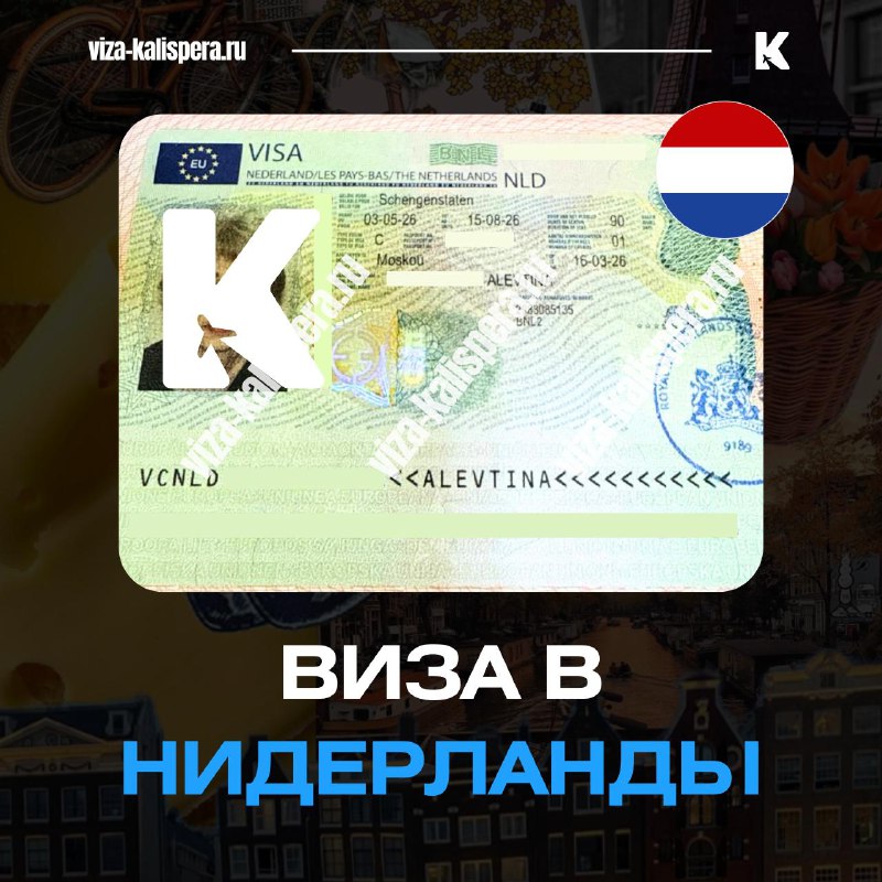 Виза в Нидерланды по приглашению родственника: как оформить