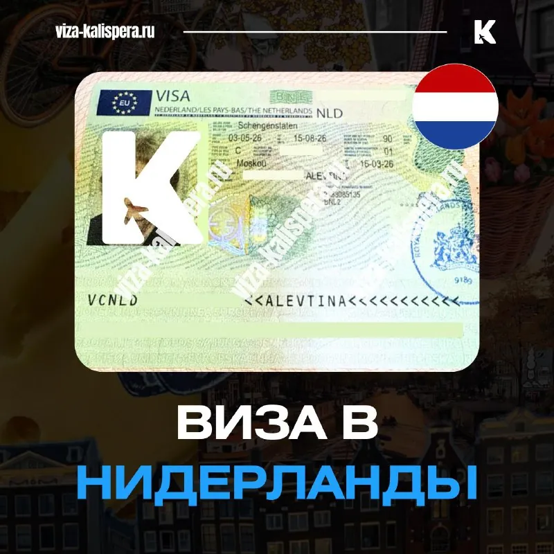 Виза в Нидерланды по приглашению родственника: как оформить