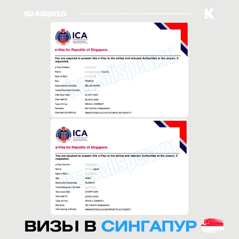 Виза в Сингапур за три рабочих дня: как устроено оформление