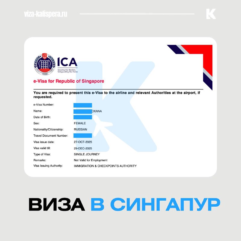 Виза в Сингапур за три дня: сроки, стоимость и документы