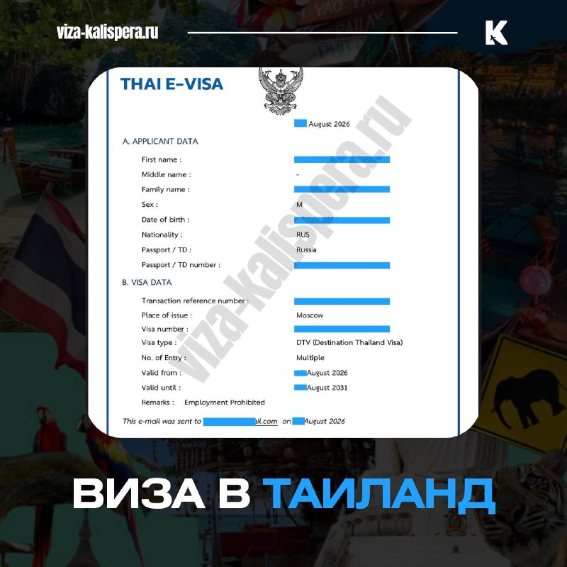 Виза в Таиланд для зимовки: чем отличаются TR и DTV