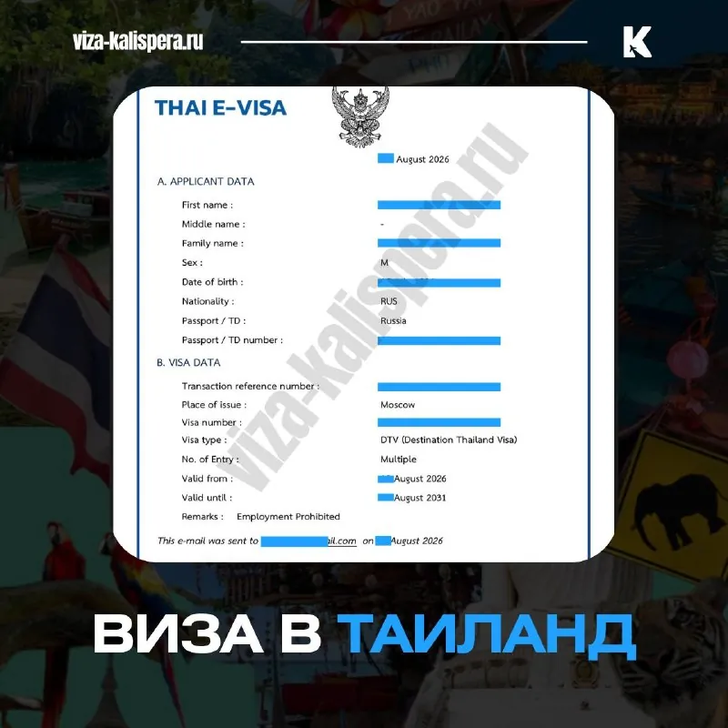 Виза в Таиланд для зимовки: чем отличаются TR и DTV