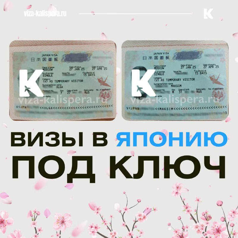 Виза в Японию к сезону сакуры: как избежать очередей в консульстве
