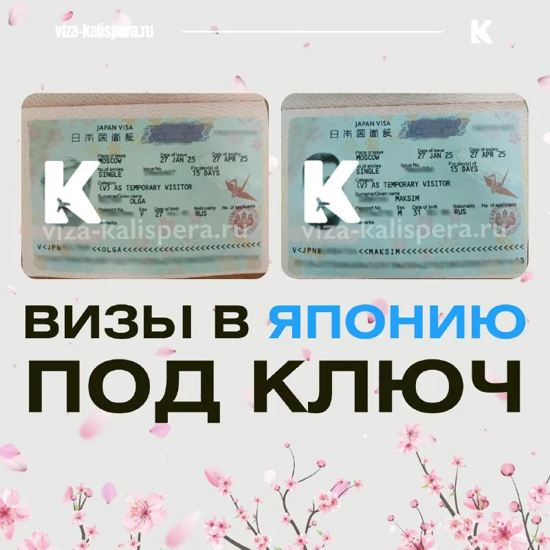 Виза в Японию к сезону сакуры: как избежать очередей в консульстве