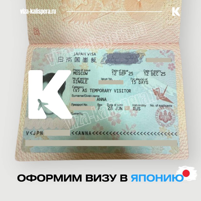 Очереди в посольстве Японии в Москве: как подать на визу без потери времени