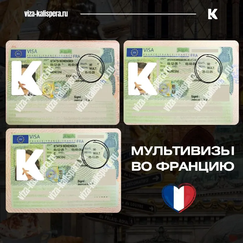 Как визовая история влияет на получение мультивизы во Францию