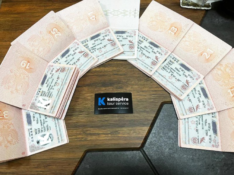 Виза в Японию без отказов: как устроена подача документов под ключ
